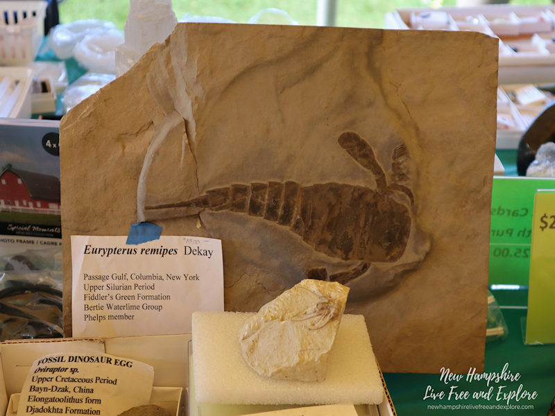 The Gilsum Rock Swap and Mineral Show