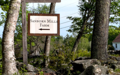 Sanborn Mills Farm